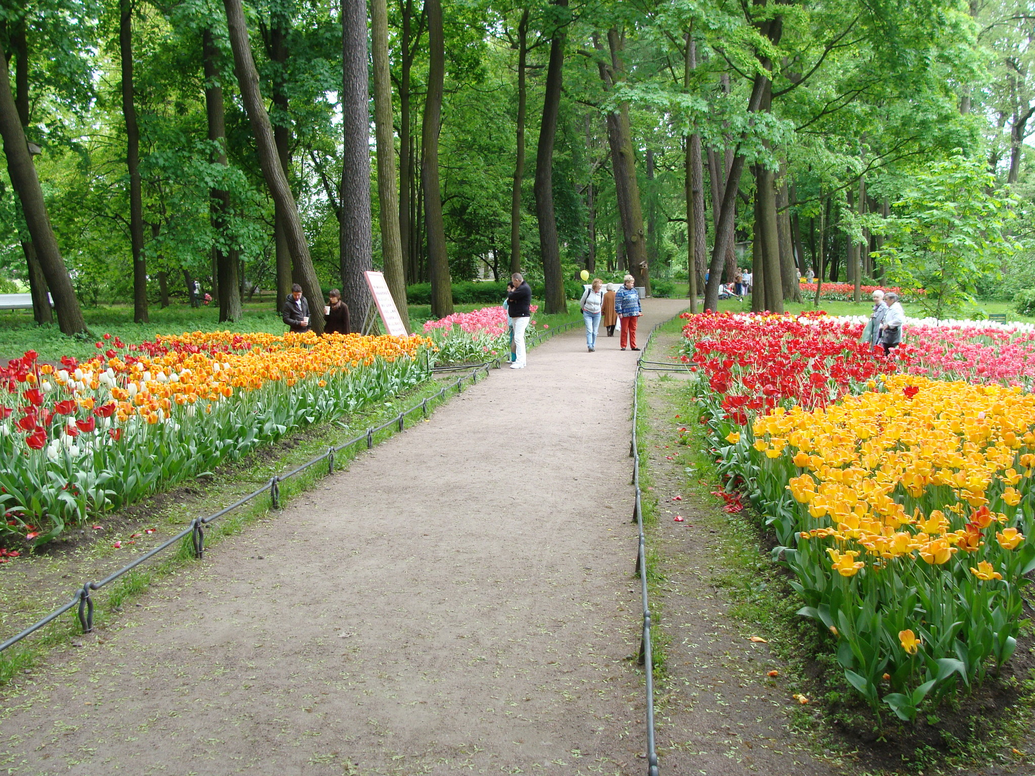 парк в рязани цпкио