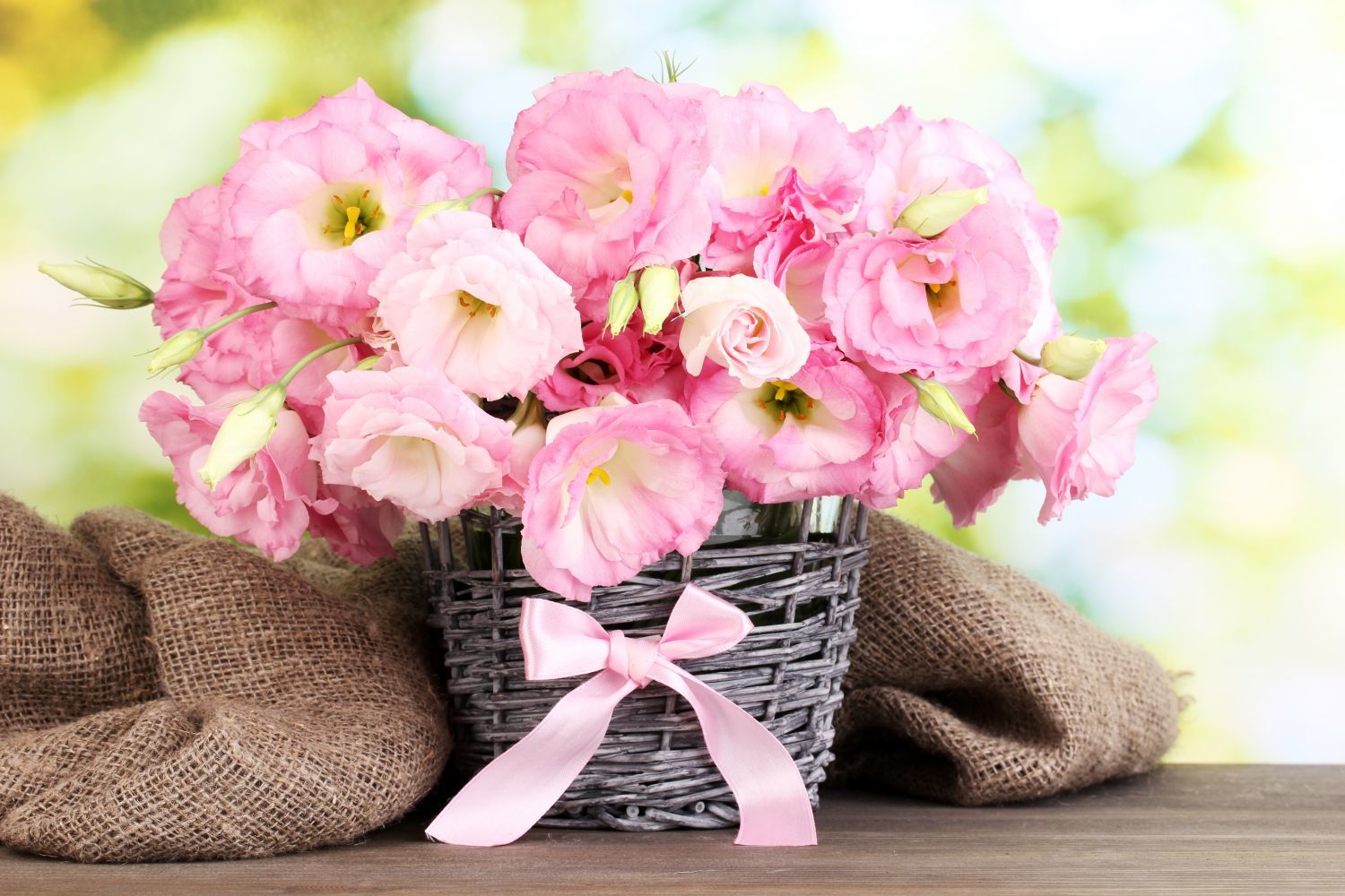 День красивых женщин. Нежный цветок. Стильные цветы. Нежный букет цветов. С днём рождения Лиля.