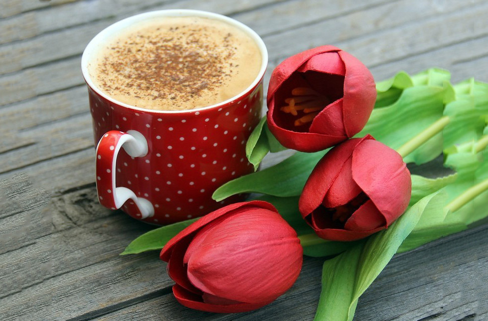 Картинки хорошего дня с кофе. Утро кофе. Чашечка кофе для настроения. Хорошего дня кофе. "На чашечку кофе…?!".