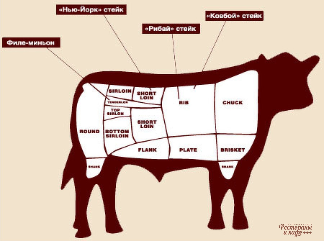 Из какой части говядины делают стейк. Стейк Рибай часть туши. Схема разделки говяжьей туши на стейки. Стейк Рибай часть говядины. Стейк Рибай схема.