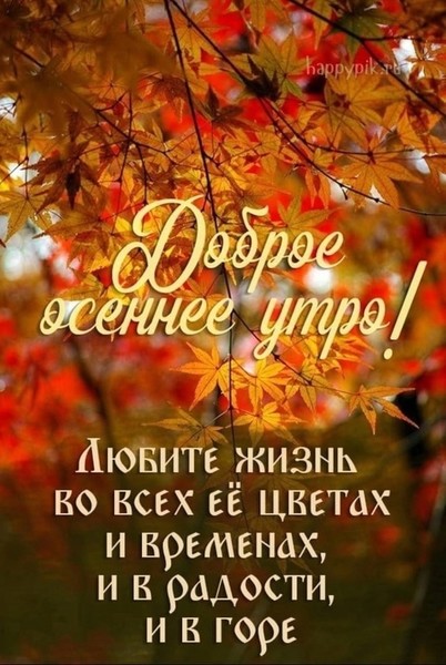 🍂🍁 ДОБРОЕ УТРО, ДРУЗЬЯ! ОТЛИЧНОГО ДНЯ! 🍁🍂

Наступило чудесное, осеннее утро,
Ты проведи его замечательно и для себя!
Помни, что всегда рядышком с тобою
Твоя любимая семья.
Наслаждайся ты каждой минуткой,
Вдыхай свежий воздух и аромат!
Эта осень будет для тебя особенной
И это утро для тебя хороший знак.