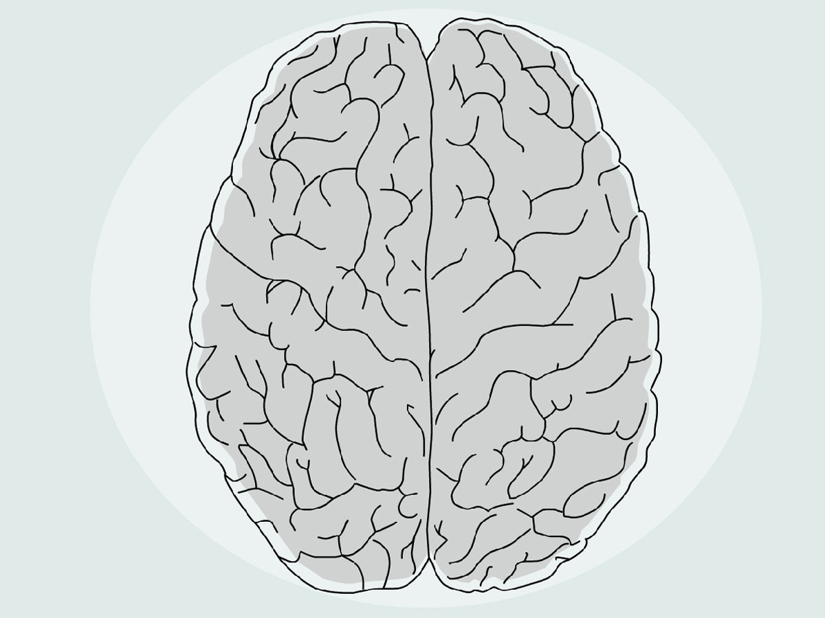 Brain 45. Раскраски для Альцгеймера. Альцгеймер картинка на печать. Земля оба полушария.