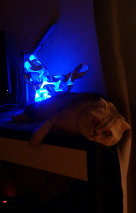 А как вы проводите холодные октябрьские вечера?) Уютный кот Арсений проводит их вместе со своим новым другом - кошечкой Relax lamp) Арсений знает толк в уюте) Если вы влюбились в Арсения, то вам сюда, на его персональную страничку.
(https://i.instagram.com/arseniy.just.arseniy/).

За уютом приходите к нам, мы, как и Арсений, знаем в нем толк) 


