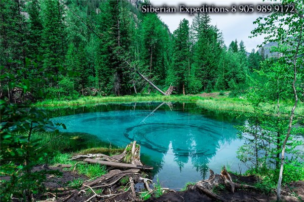 Алтай, голубое гейзерное озеро.

Полный рассказ о чудо озере с шикарными фотографиями Алтая вы найдёте на страницах нашего портала "Siberian Expeditions": http://www.чулышман-турист.рф/forum/147-2196-1