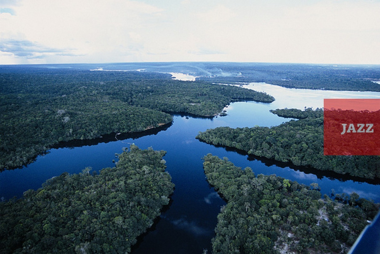Самая полноводная река бразилии. Бразилия Амазонская низменность. Река Амазонка в Бразилии. Реки амазонской низменности. Амазонка полноводная река.