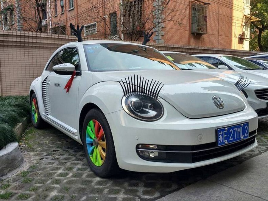 volkswagen the beetle